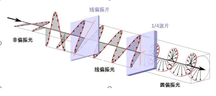 20250606162252752-图片